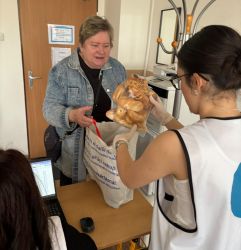 2025 05 22 stvrtky v comine nitra