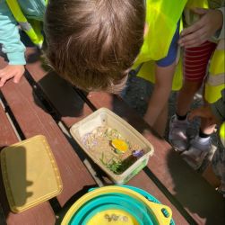 vydavanie potravinovej pomoci v comine nitra