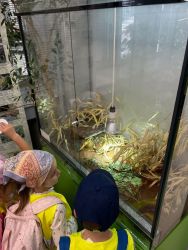 2025 06 11 vylet do vivaria spu